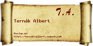 Ternák Albert névjegykártya